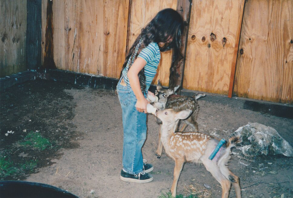 Ivy with rescued young deer